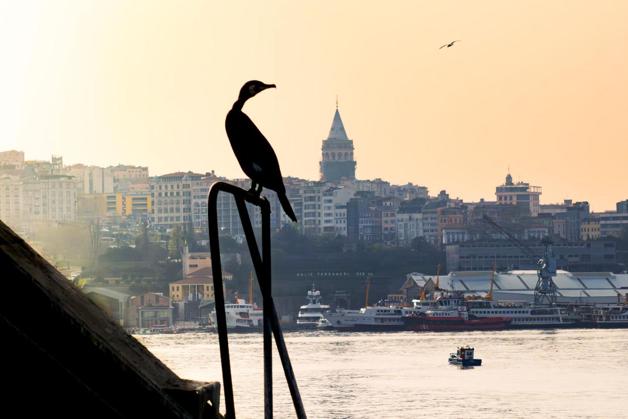 Rixos Tersane Istanbul Hotell Exteriör bild